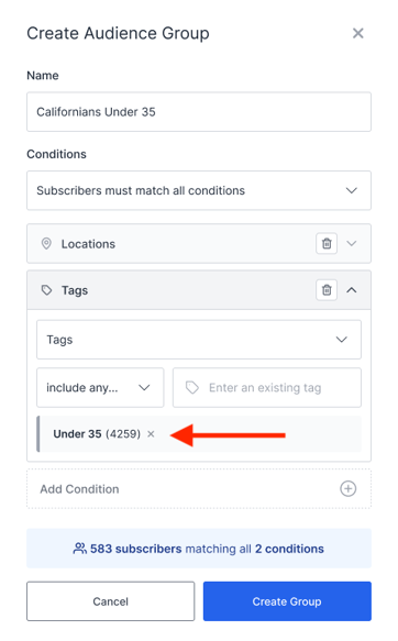 Edit Audience Modal (1)